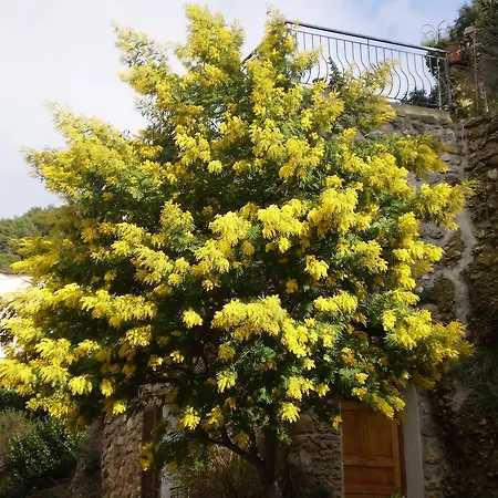 Apartmán Detox Roquebrune-Cap-Martin