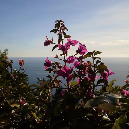Appartement Detox Roquebrune-Cap-Martin